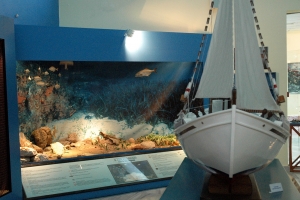Kolimvari Fischerei Museum