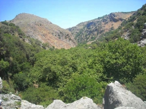 Chalase Gorge at Sassalos