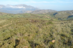 Trail Moundros - Agouseliana