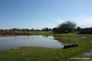 Kourounes Pond