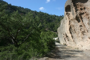 Ahlia Gorge
