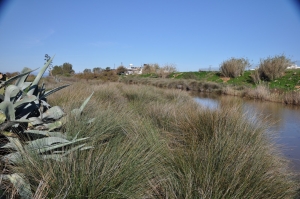 Aposelemis Fluss
