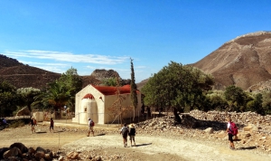 Agios Savvas Olivenwald