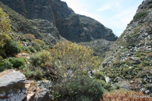 Patsopoulos Gorge