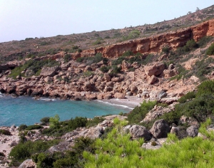 Strand Astropelekita