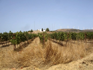 Plateau of Armenohandrades