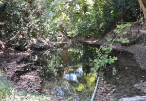 Astrakiano Schlucht