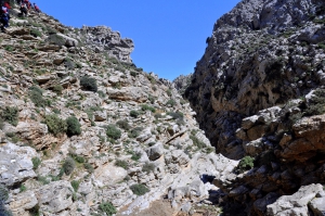 Βορνό Φαράγγι (Εθιανό)