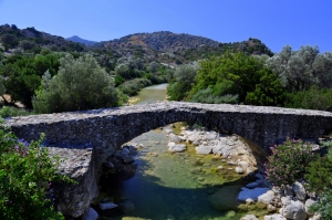 Platys River bridge