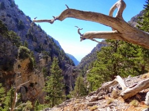 Eligia Gorge