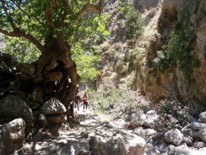 Agia Irini Schlucht