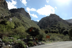 Roza Schlucht