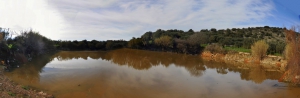 Ligaras See