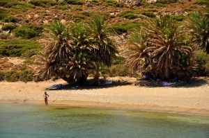 10 μέρη της Κρήτης με φοίνικες