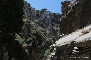 Psoraris Schlucht