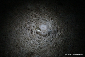 Kamilaris Höhle