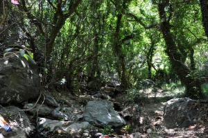 Vederi Gorge