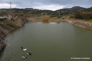 Dories Pond