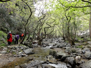 Moundros Schlucht (Kollita)
