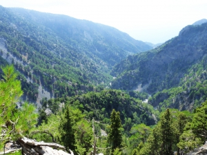 Tripiti Gorge