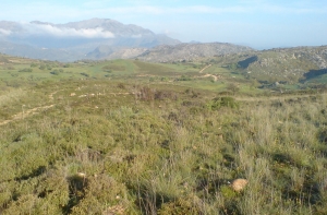 Wanderweg E4 Moundros - Agouseliana