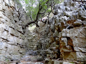 Tsigounis Gorge