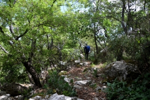 Μονοπάτι Γερακάρι - Χαϊνόσπηλιος