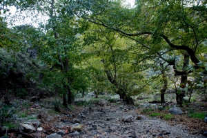 Topolia Schlucht