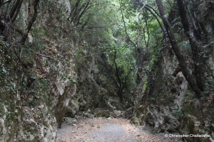 Φαράγγι Κυδώνι