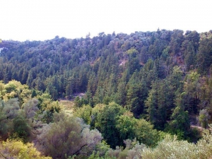Margarites Schlucht