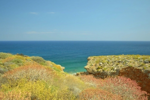 Skotini beach