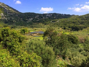 Parakalouri Lake