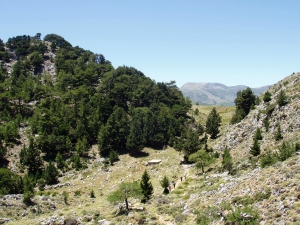 Fygou Gorge