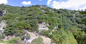 Arkadi Gorge