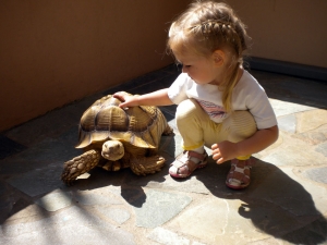 13 reasons Crete is ideal for families