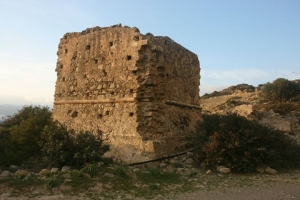 Башня в Ваиниа