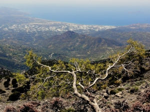 Messara-Plateau