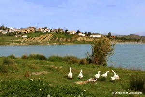 Damania Dam Lake