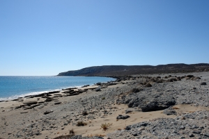 Anemertia Strand