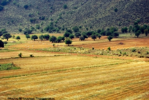 Vothonas Plateau at Vafes