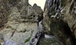 Prinias Gorge (Lagouta)