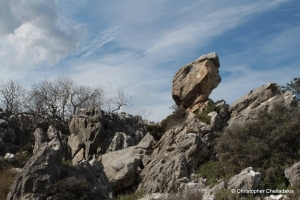 Galia Rock Carvings