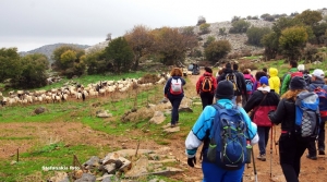 Trail Kroussonas - Livadi - Zominthos