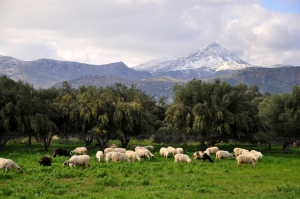 Crete's Geography