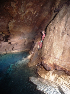 Löwen Höhle
