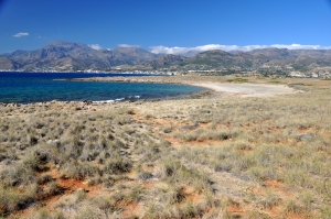 Psalidia beach
