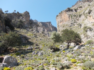 Skaloti Gorge