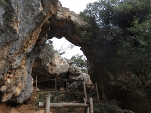 Platania Gorge