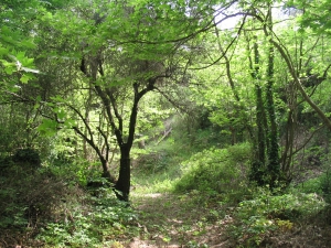 Vavouledo Gorge