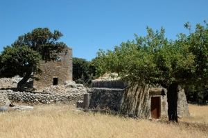 Μονή Αγίου Γεωργίου στις Μένιες